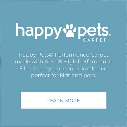 Happy pets carpet | Bob & Pete's Floors