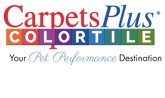 colortile your pet performance destination