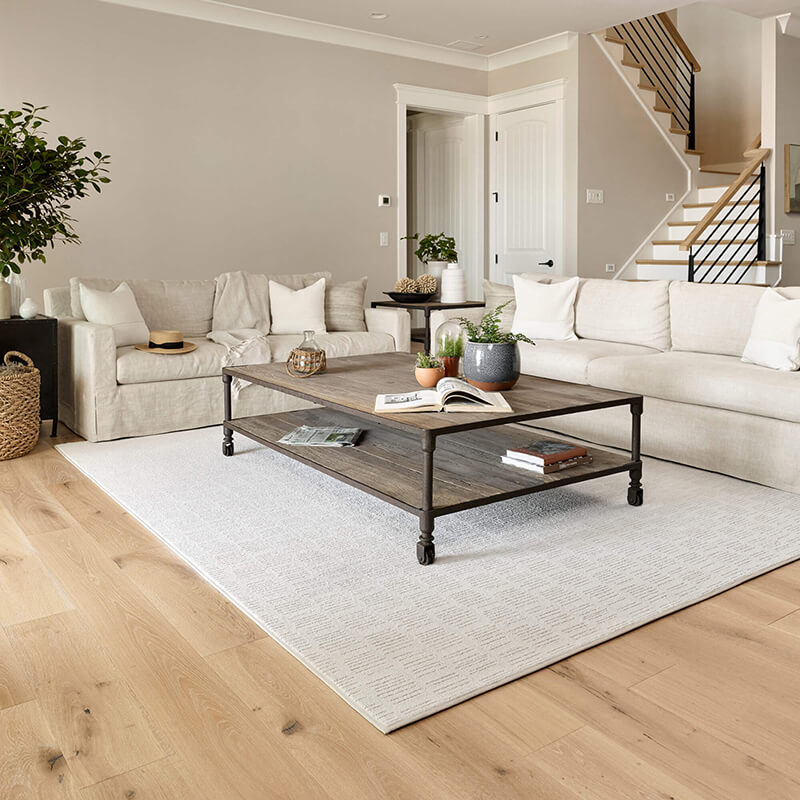 Area Rug in Living Room | Bob & Pete's Floors